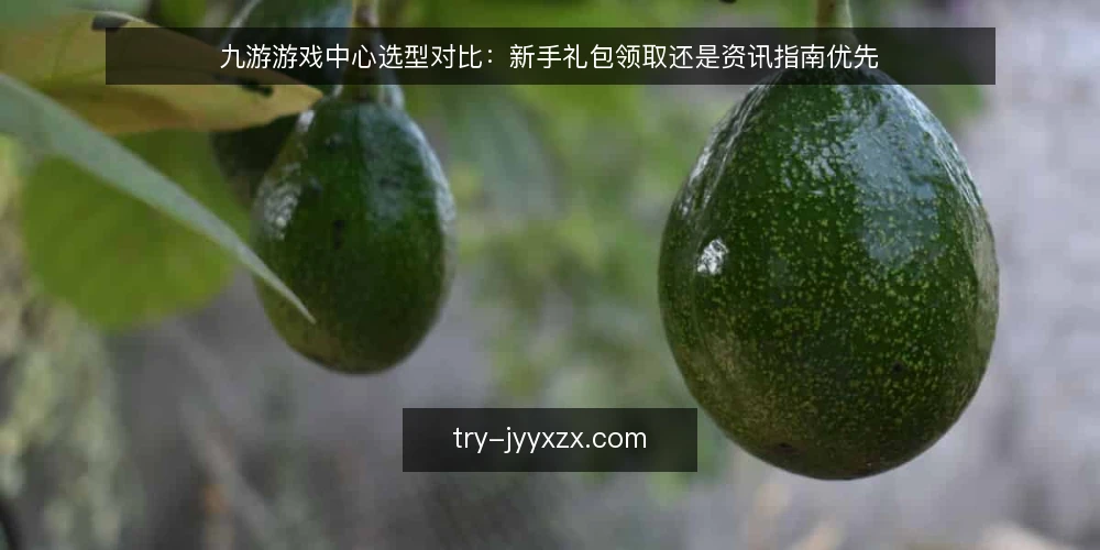 九游游戏中心选型对比:新手礼包领取还是资讯指南优先 — 决策标准:先看需求再选路径 配图